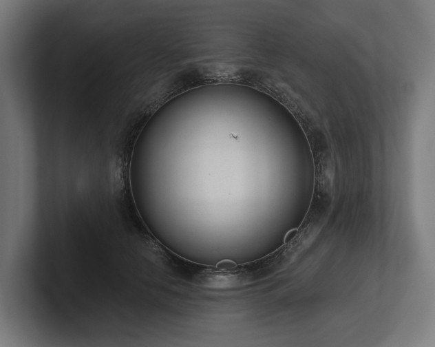 X0000102360658200808011453