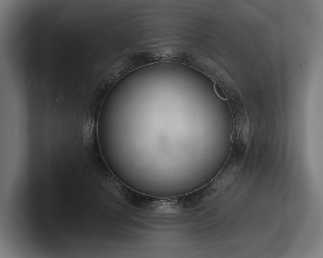 X0000102360660200808011453