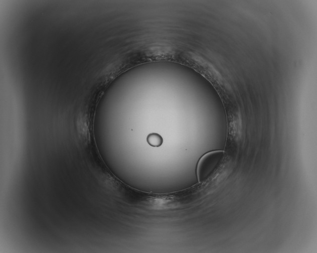 X0000102360662200808011453