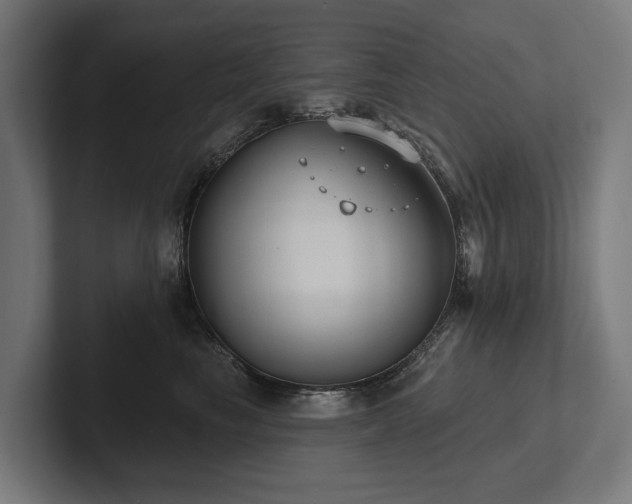 X0000102360665200808011453