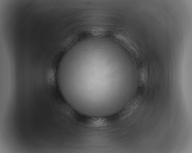X0000102360667200808011453