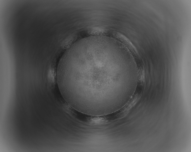 X0000102360669200808011453