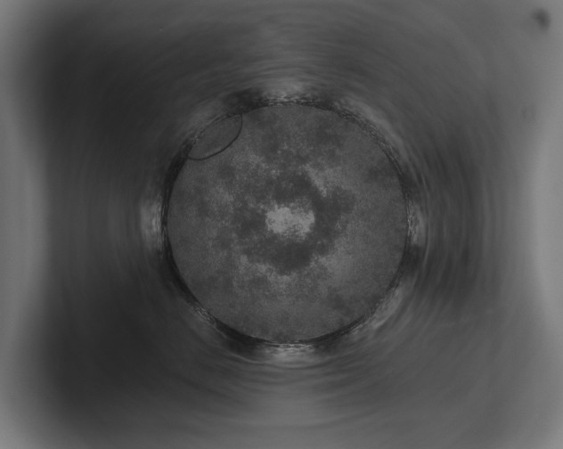 X0000102360670200808011453