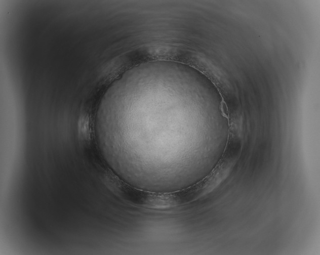 X0000102360671200808011454