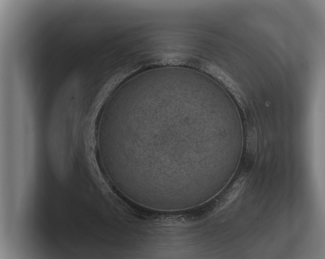 X0000102360673200808011453