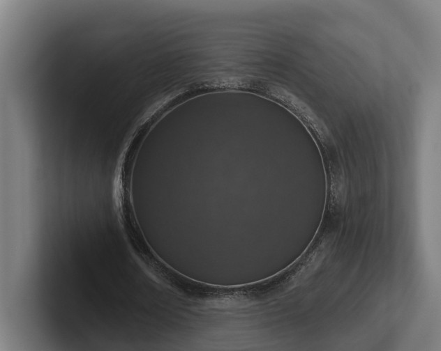 X0000102360674200808011453