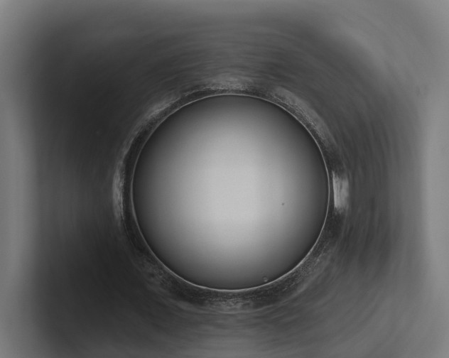 X0000102360675200808011453