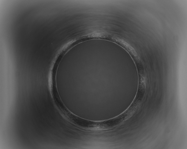 X0000102360678200808011453