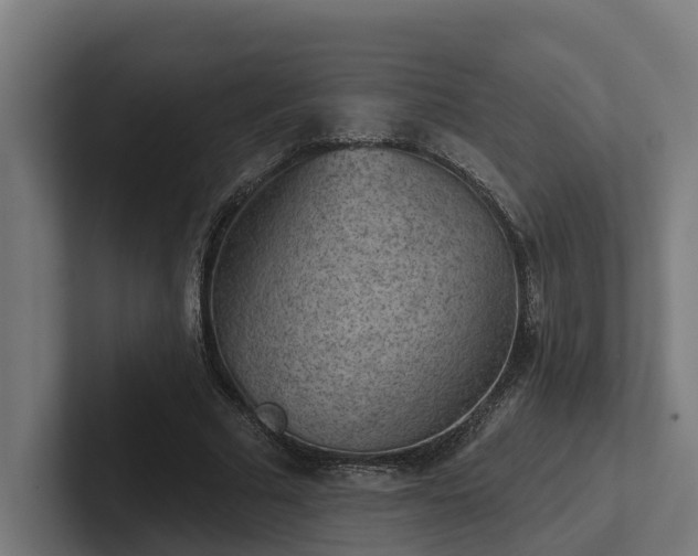 X0000102360681200808011453