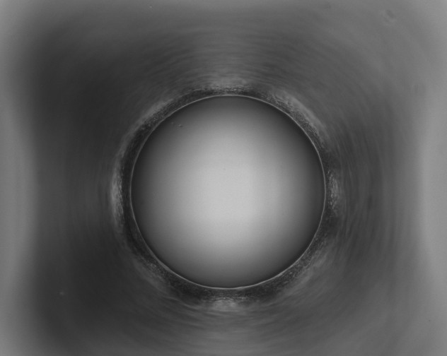 X0000102360684200808011453