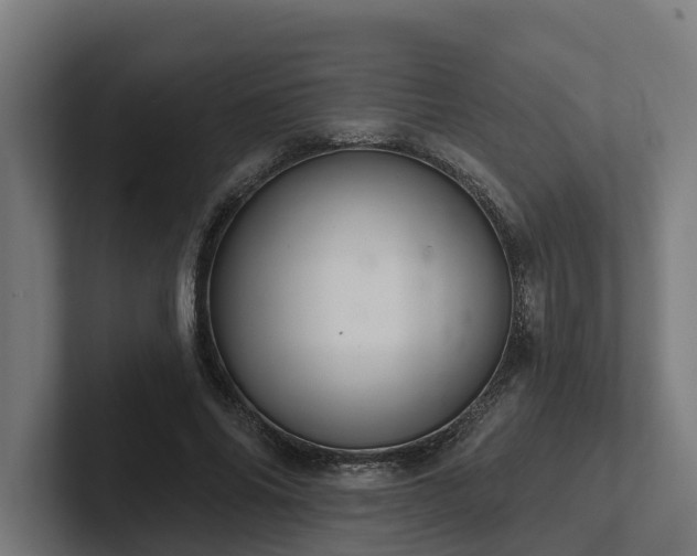 X0000102360686200808011453