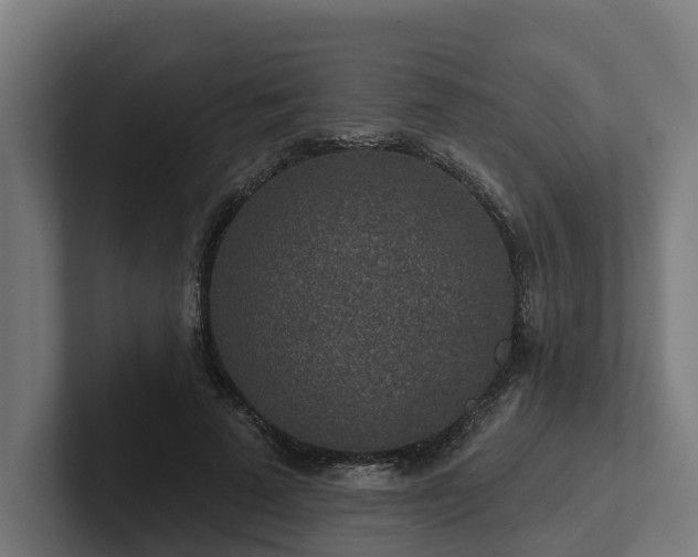 X0000102360689200808011453