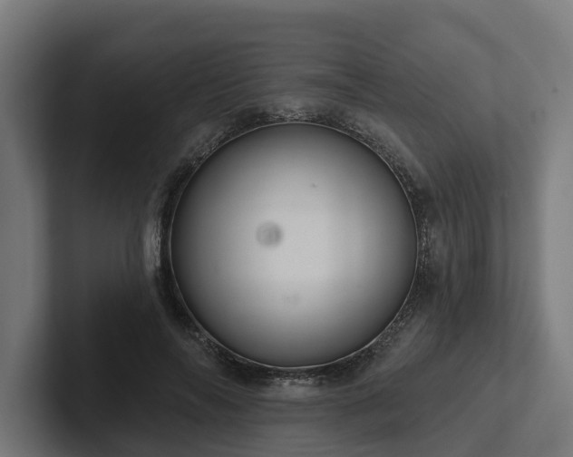 X0000102360694200808011453