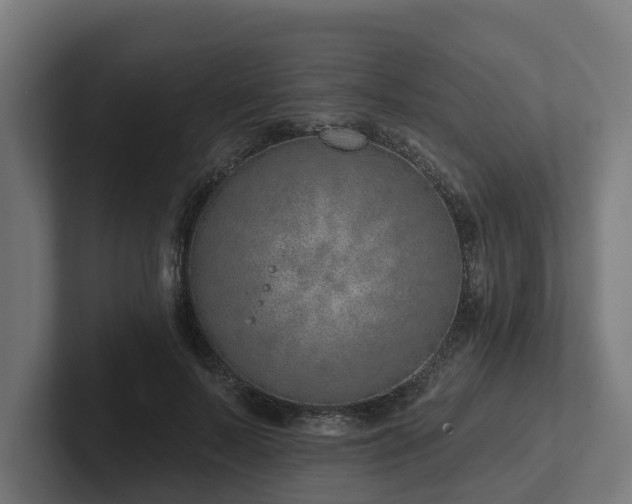 X0000102360695200808011453