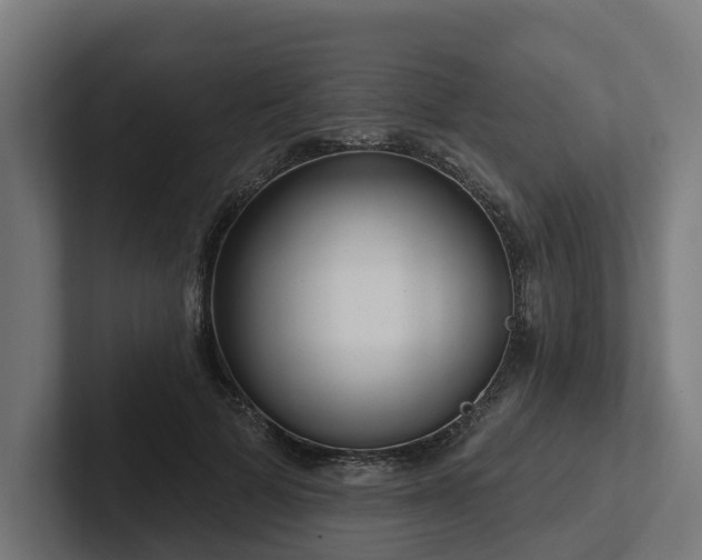 X0000102360697200808011453