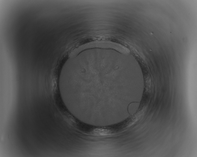 X0000102360699200808011453