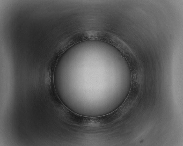 X0000102360702200808011453