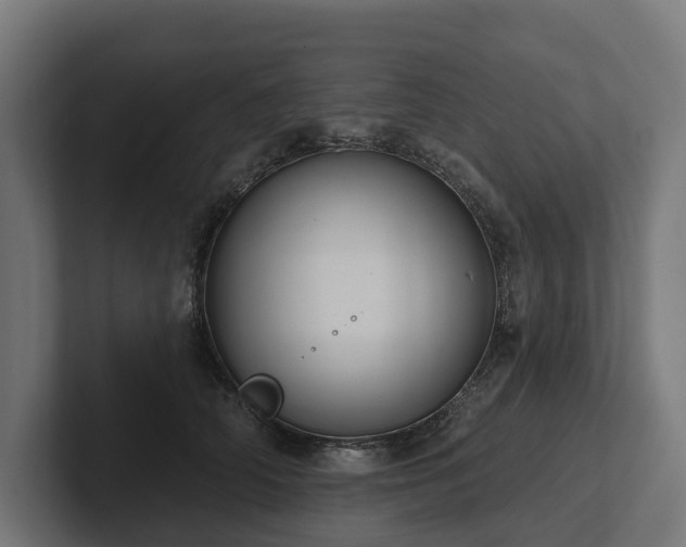 X0000102360706200808011452