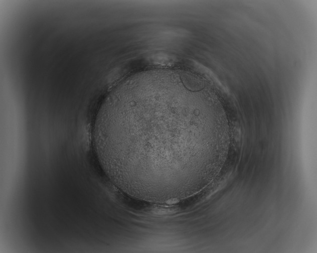 X0000102360707200808011452