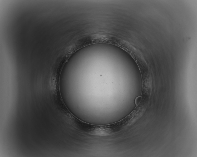 X0000102360708200808011452