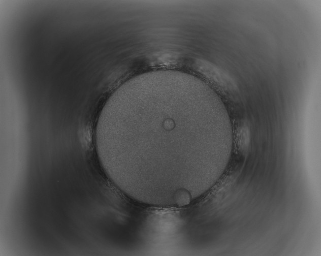 X0000102360709200808011452