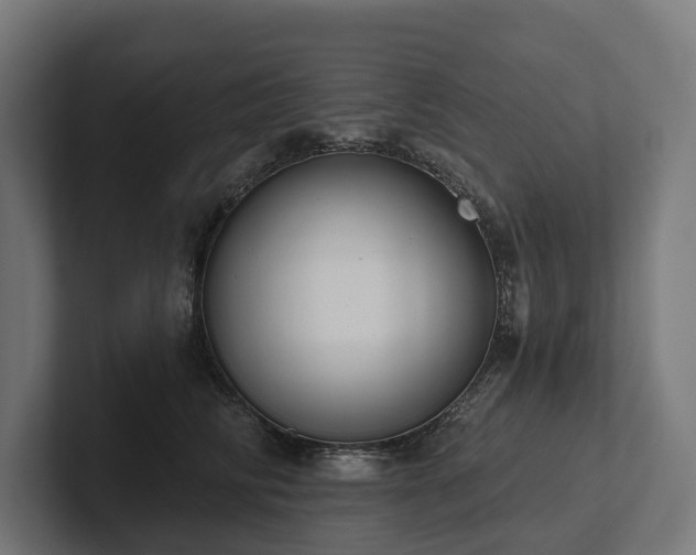 X0000102360710200808011452
