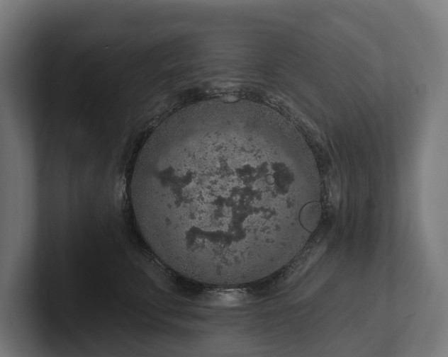 X0000102360711200808011452