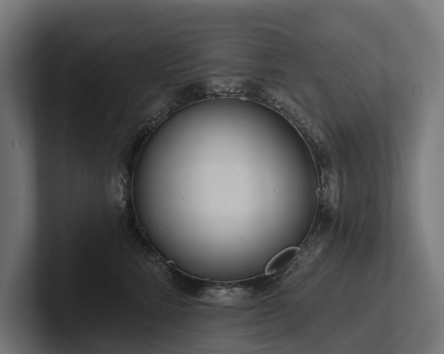 X0000102360712200808011452