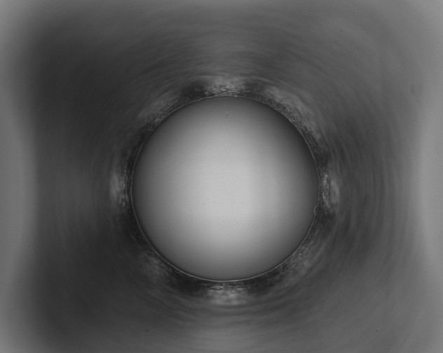 X0000102360714200808011452