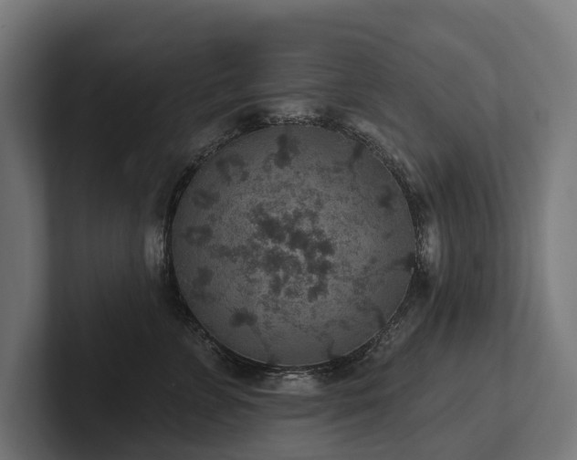 X0000102360715200808011452