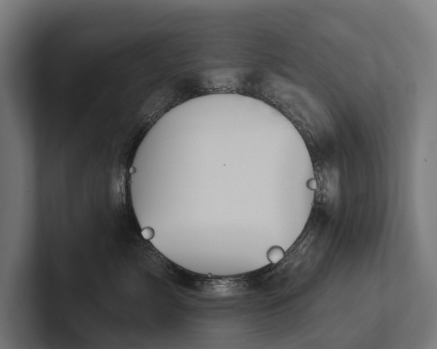 X0000102360717200808011452