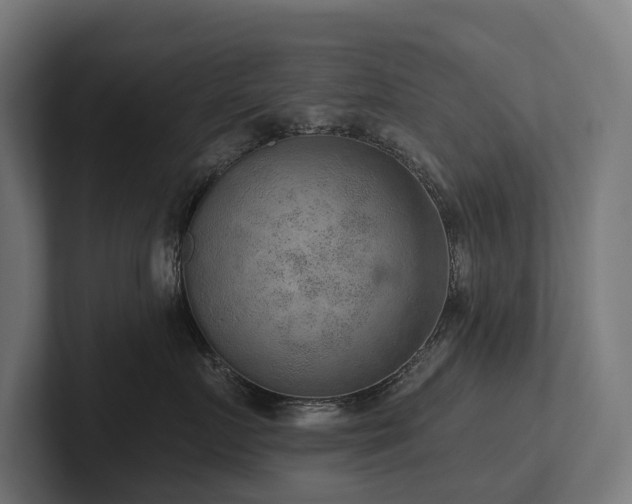 X0000102360719200808011452