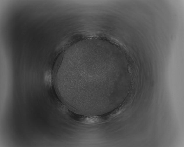 X0000102360720200808011452