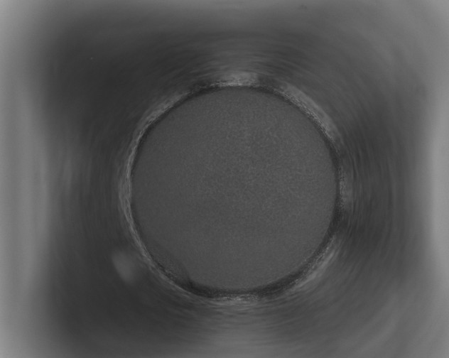 X0000102360721200808011452