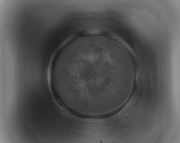 X0000102360722200808011452