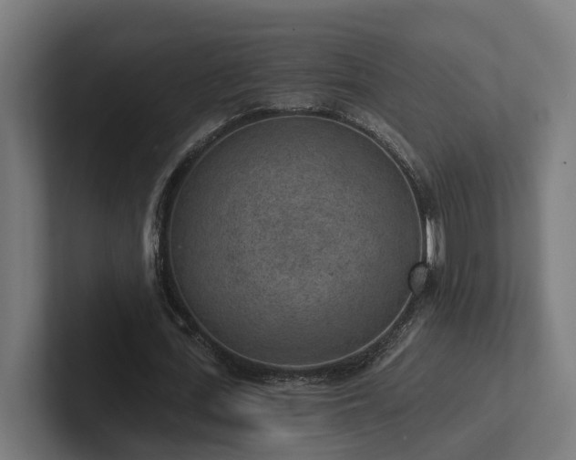 X0000102360723200808011452
