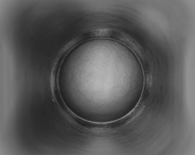 X0000102360725200808011452