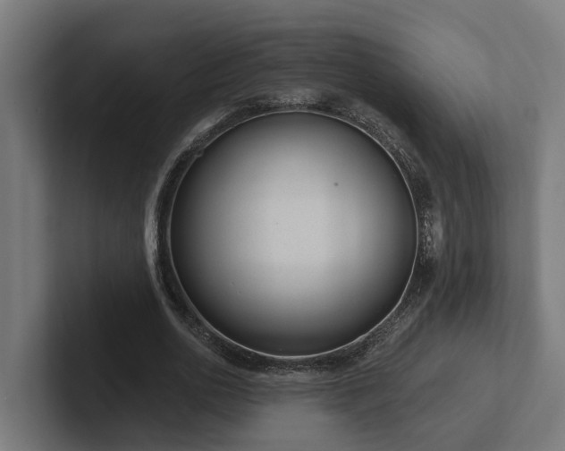 X0000102360726200808011452