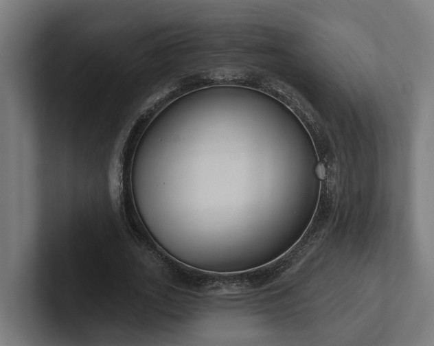 X0000102360727200808011452