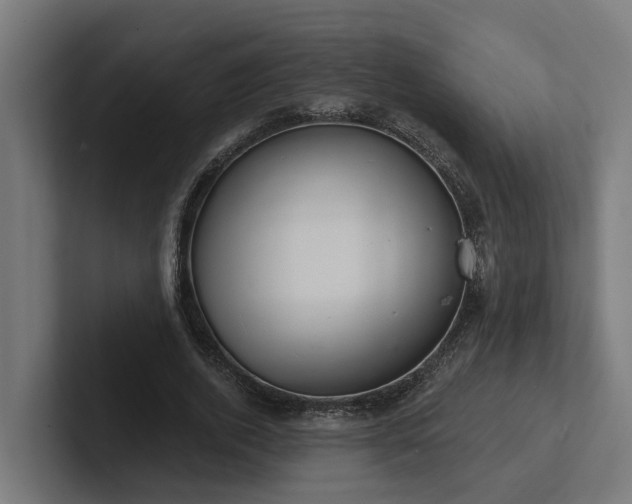 X0000102360728200808011452