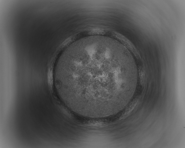 X0000102360729200808011452