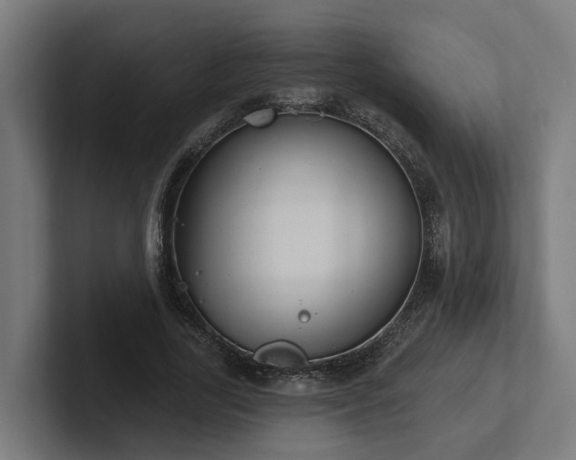 X0000102360731200808011452