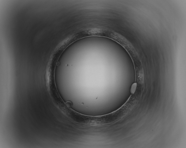 X0000102360732200808011452