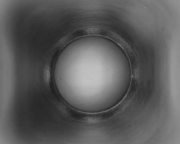 X0000102360733200808011452