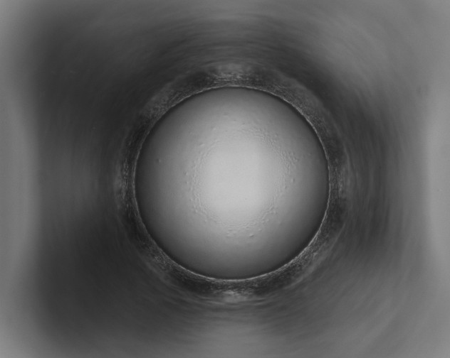 X0000102360737200808011452