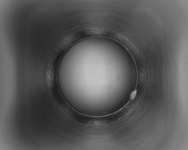 X0000102360739200808011452