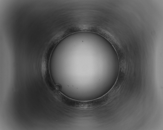 X0000102360740200808011452