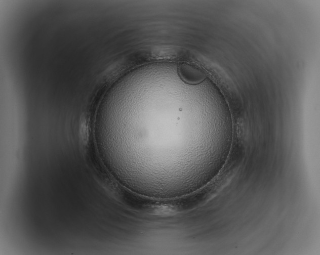 X0000102360741200808011452