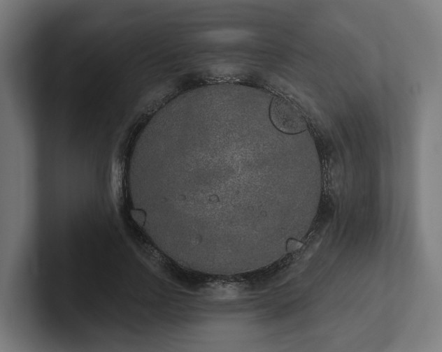 X0000102360742200808011452