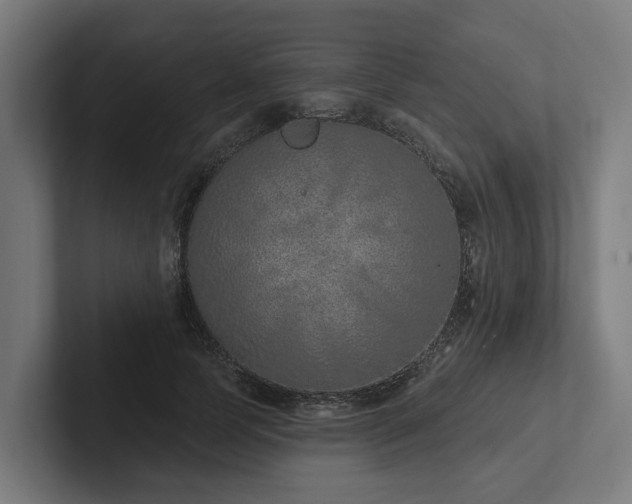 X0000102360745200808011452